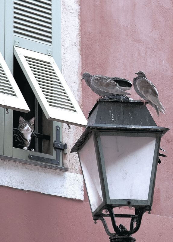 从防守反击到致命一击，解析韩国如何用本泽马战术锁死安哥拉