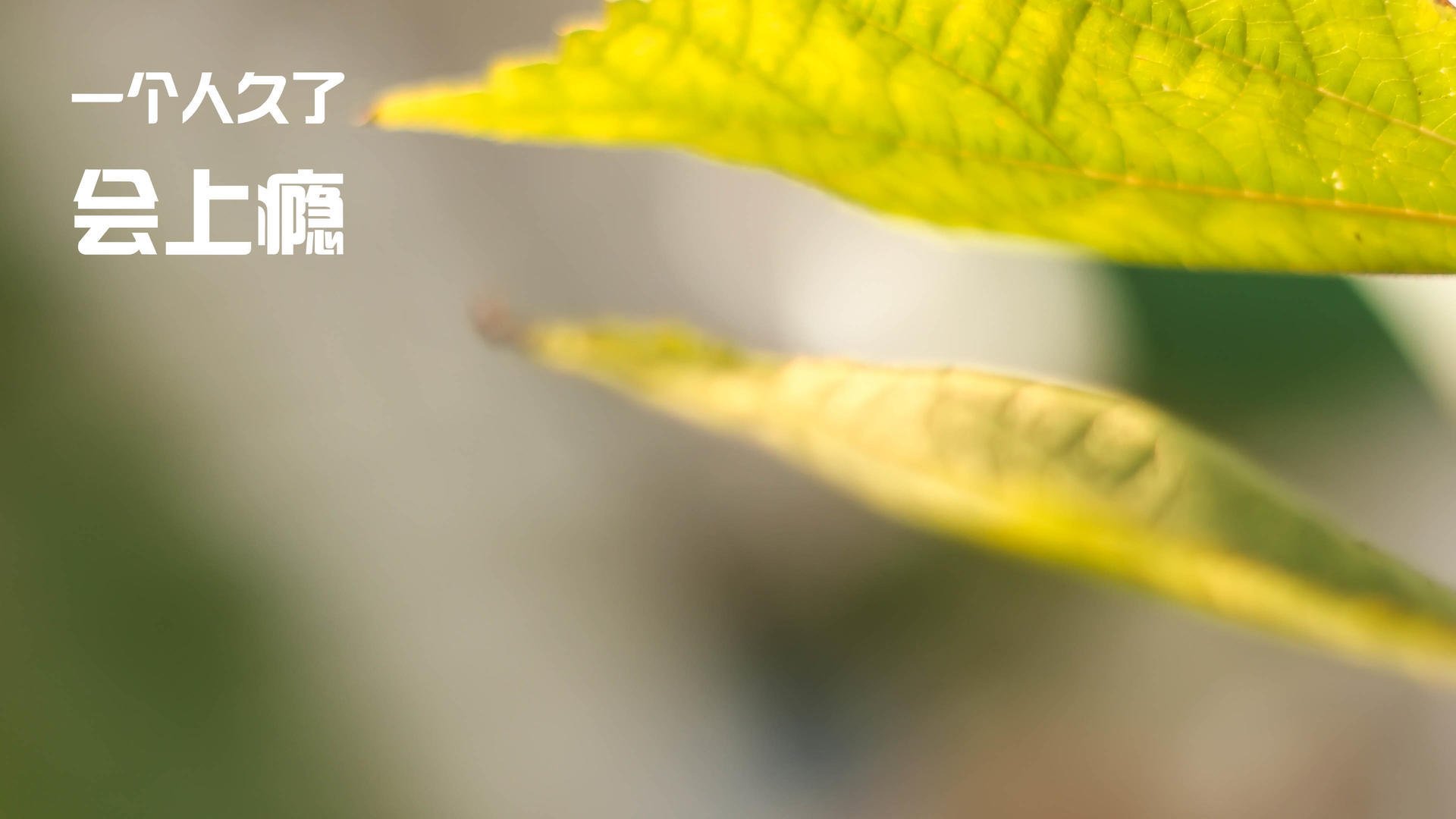 皮克史诗级刷存在感！马里2-1土耳其，顶级中卫输给神操作