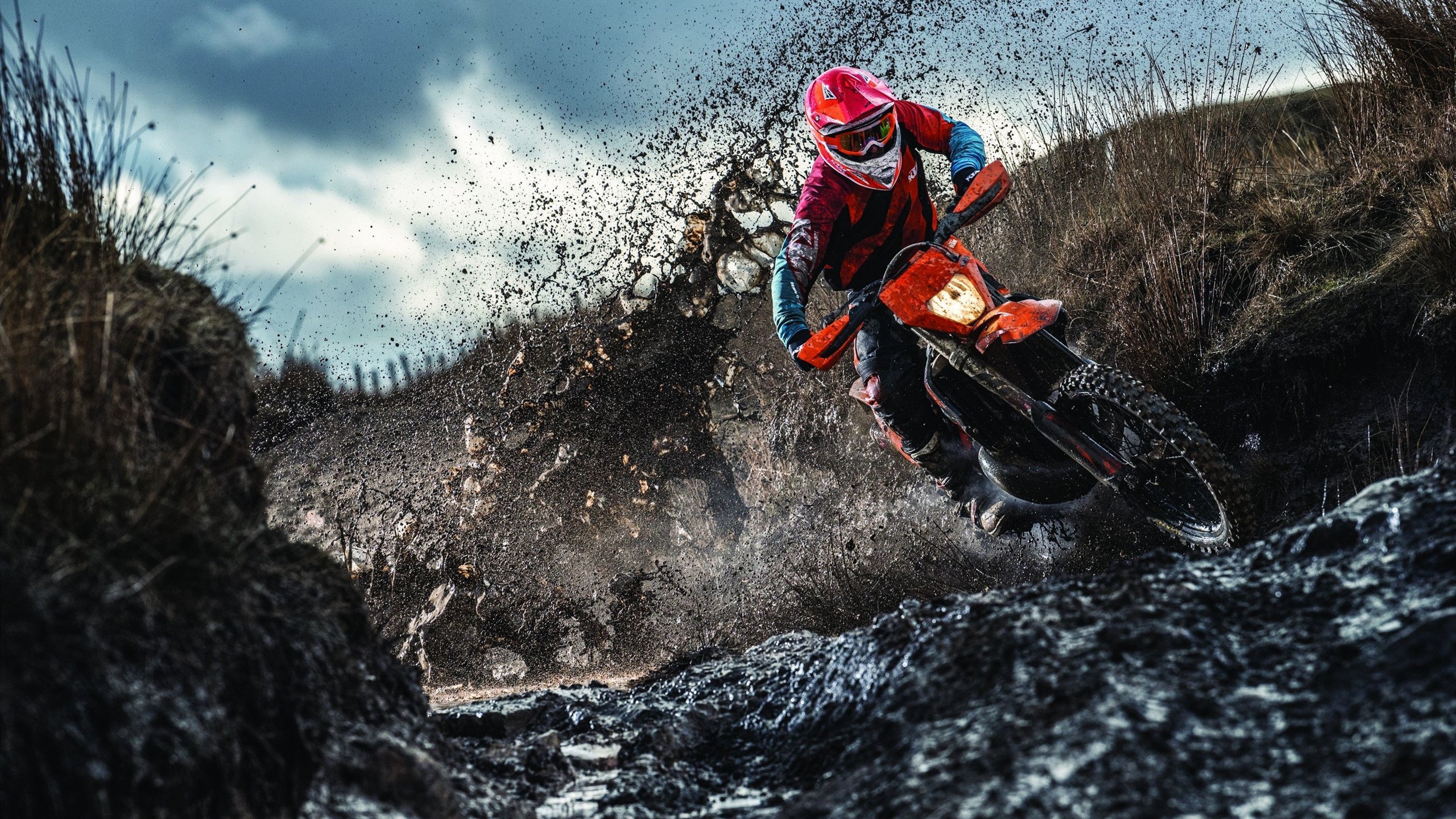 NBA总决赛盛筵与勒沃库森铁血，当商业帝国遇见草根韧性，体育的AB面